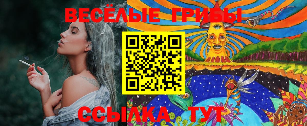 Галлюциногенные грибы Psilocybine cubensis Долгопрудный
