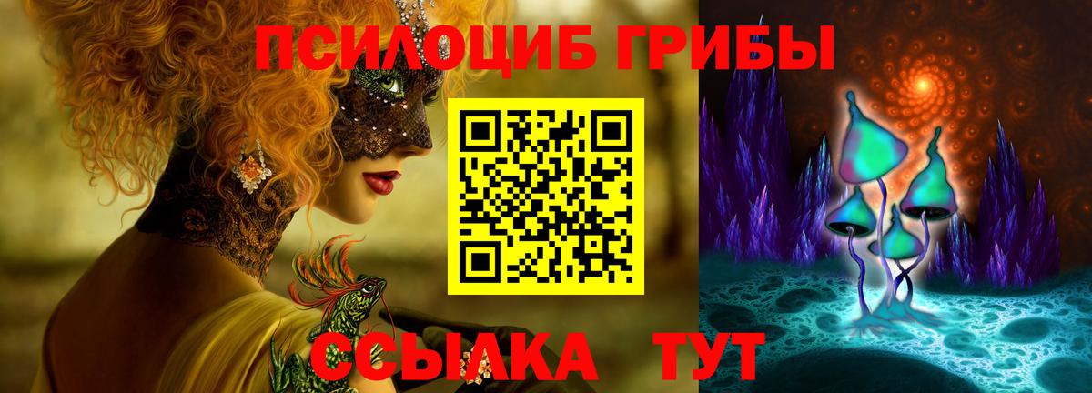 наркота  Псилоцибиновые грибы Psilocybine cubensis  Вход с VPN  Долгопрудный 